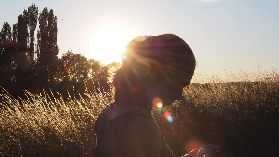 Silhouette of Woman Standing Near Green Grass Plants